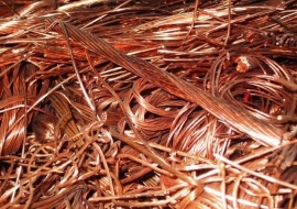 thu mua dong phe lieu gia cao