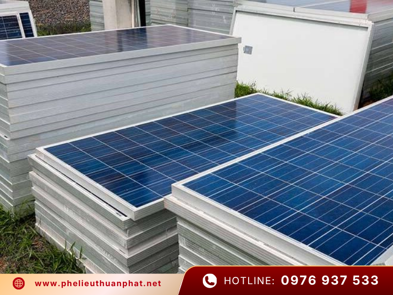Thuận Phát thu mua tấm pin mặt trời cũ số lượng lớn giá cao uy tín
