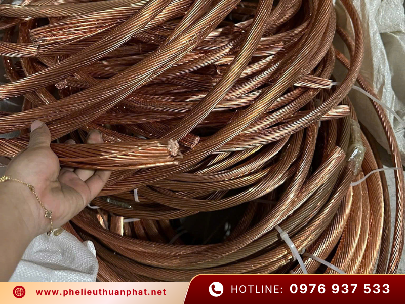 phelieuthuanphat.net