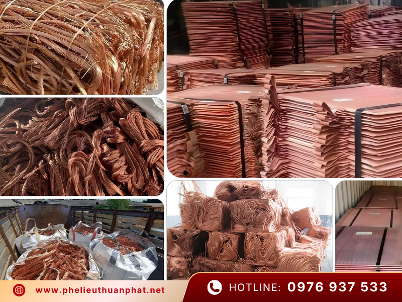Thuận Phát chuyên thu mua phế liệu đồng giá cao nhất